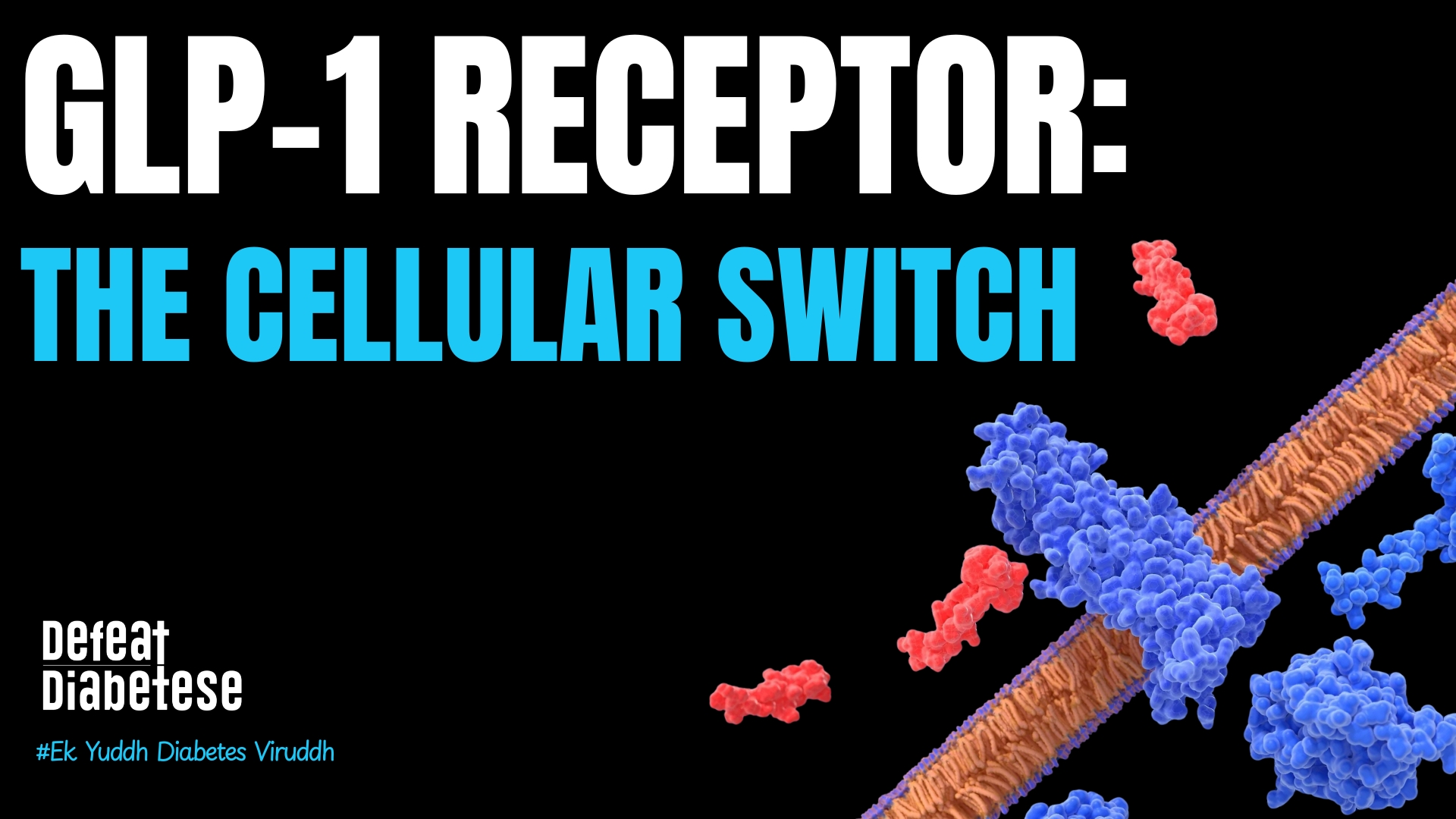 GLP-1 receptor activation and insulin secretion mechanism explained by Dr. Prakash Kurmi