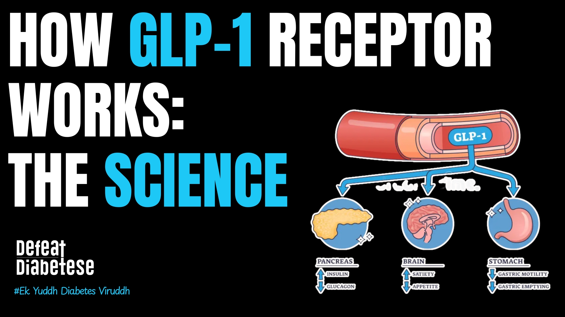 How GLP-1 receptor works inside pancreatic beta cells explained by Dr. Prakash Kurmi